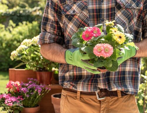 5 Spring Prep Tips for Southern California Homeowners